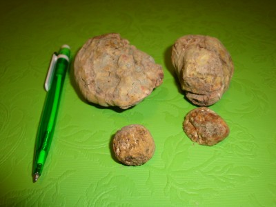 Truffles