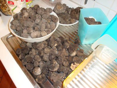 Truffle haul