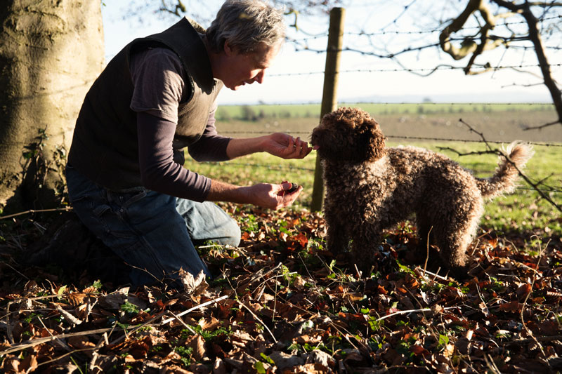 Tom Lywood and Saxon digging truffle