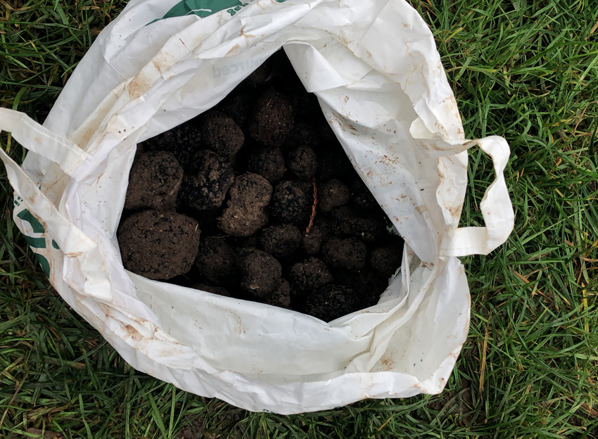 Harvest Thinning
