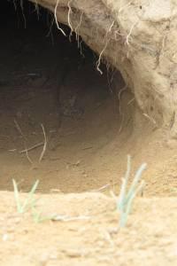 Hole