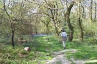 Harzel fled in a hurry