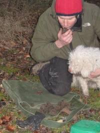 Smelling truffle